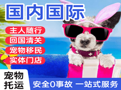 九寨黄龙航空邮寄国际宠物托运 【国